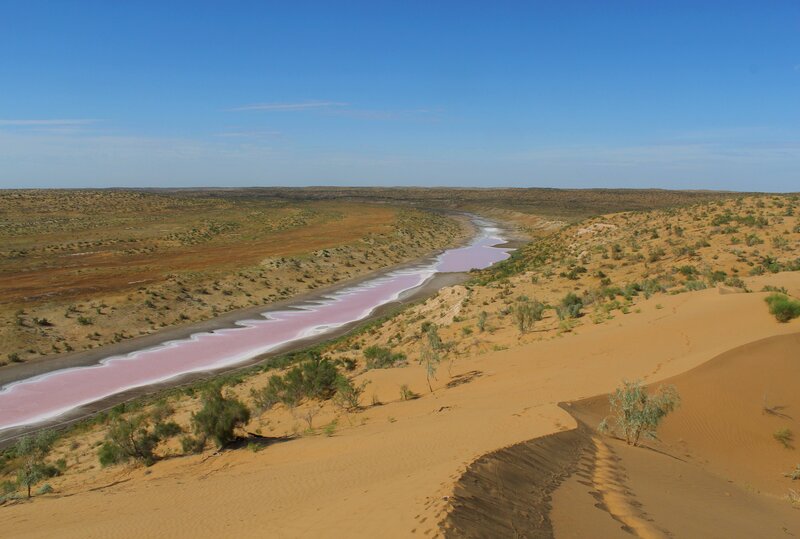 Ancient river Unguz in Bereketli Garagum pink colour from high salt concentration Photo: A. Pavlenko