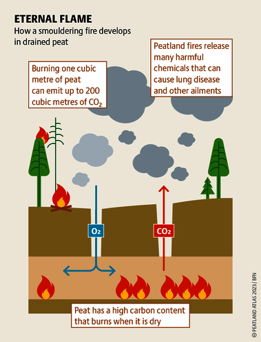 Peatland fires, for example in Asia, are often caused by fires used to clear land for industry and forestry. Source: Peatland atlas Böll/BUND/Succow-Stiftung
