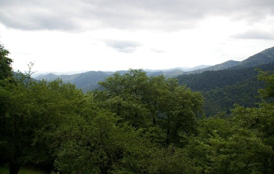 Caspian Hyrcanian forests in Azerbaijan (c) Jonathan Etzoldld
