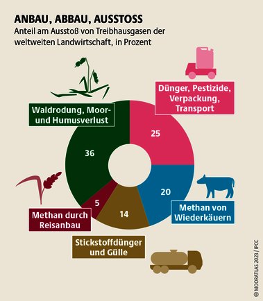 Allein in Deutschland emittiert landwirtschaftlich genutztes Moor so viele Treibhausgase wie der gesamte hiesige Luftverkehr pro Jahr. Quelle: Mooratlas Böll/BUND/Succow-Stiftung