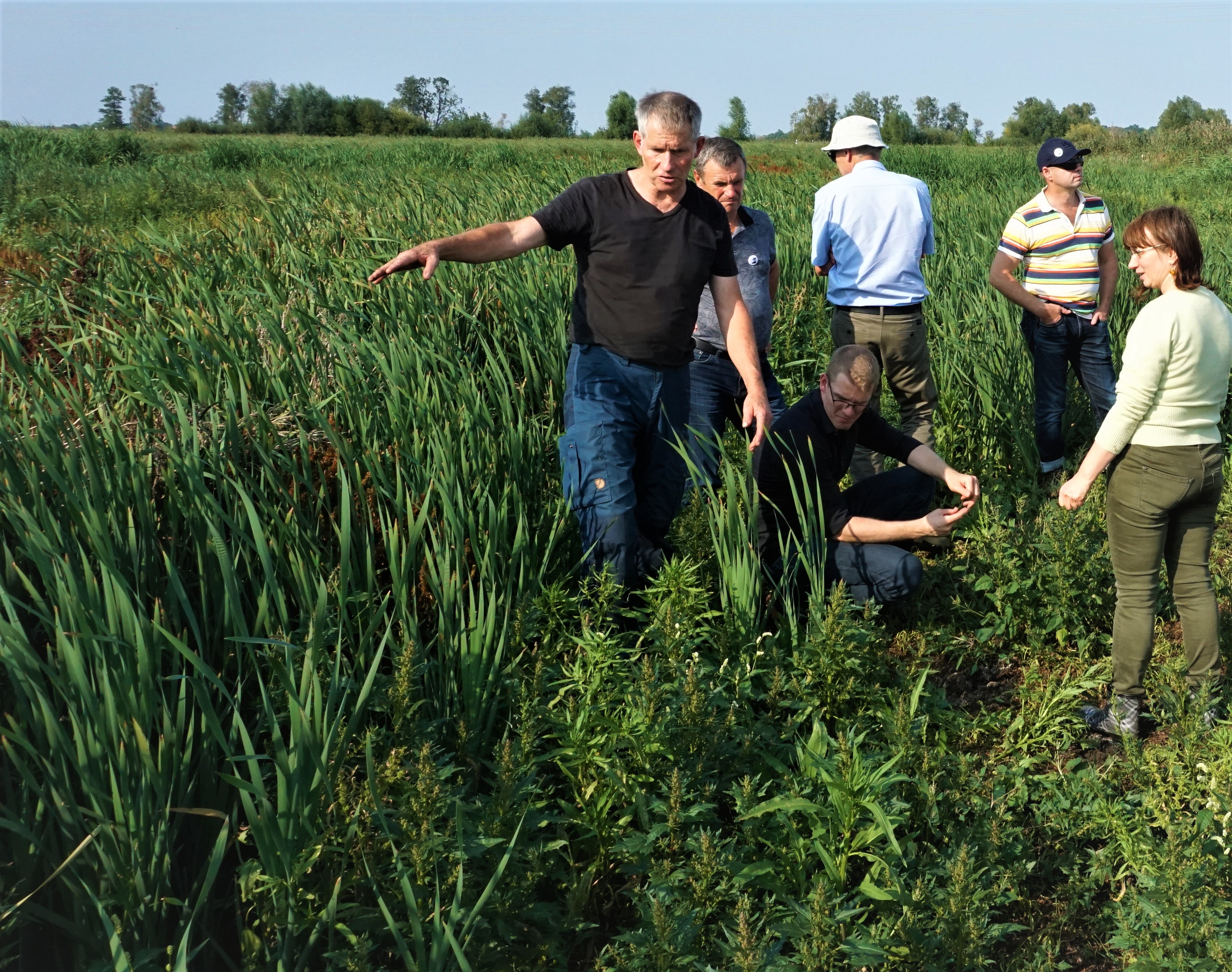 Workshop on wet peatland management (Photo: A. Haberl) Workshop on wet peatland management (Photo: A. Haberl)