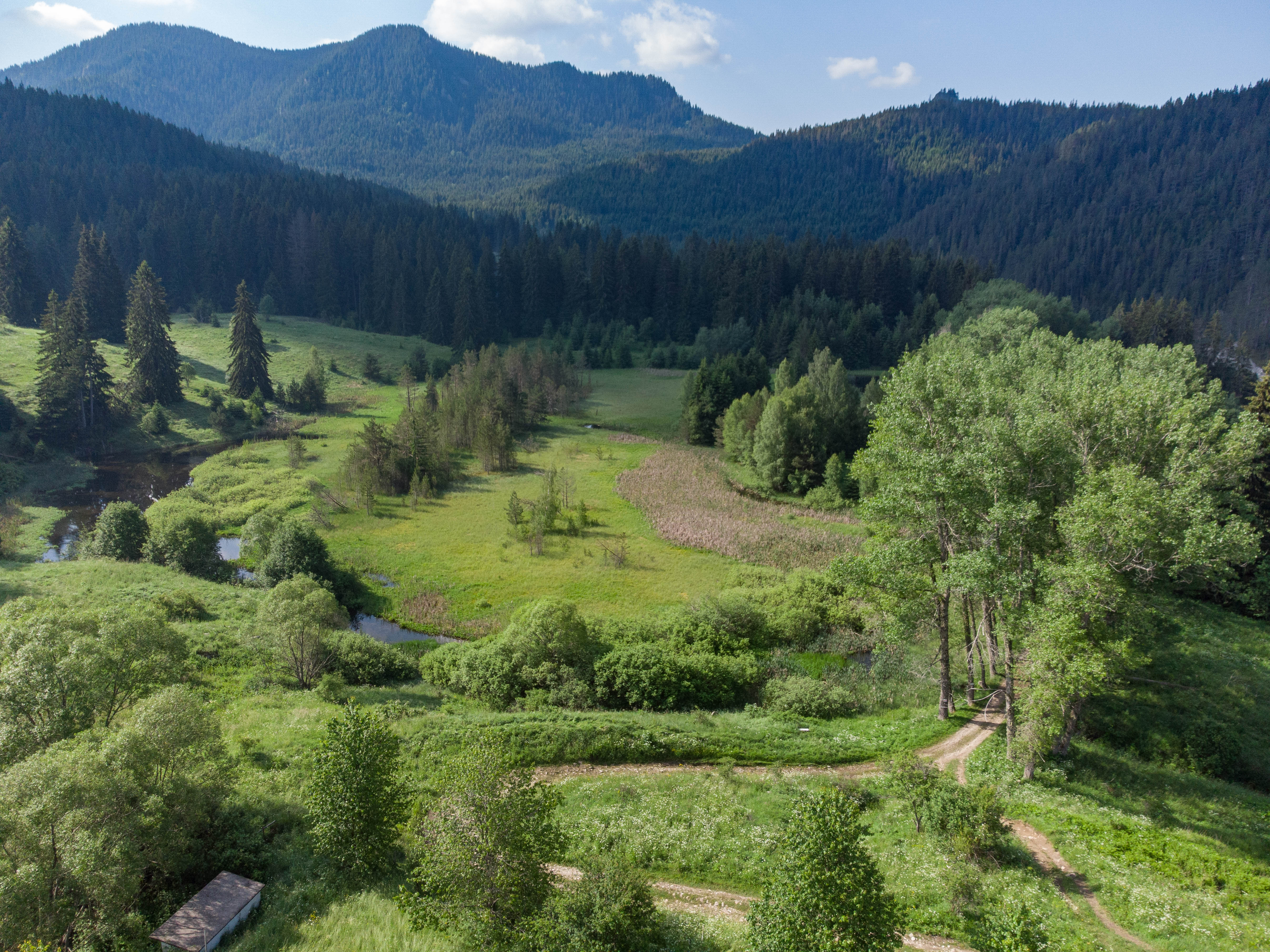 © Bulgarian Biodiversity Foundation (BBF)