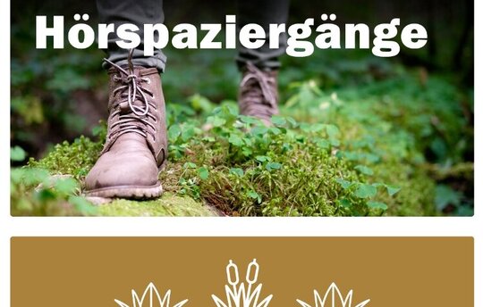 Hörspaziergang zu Moor in Greifswald-App (Bild: Stadt Greifswald)
