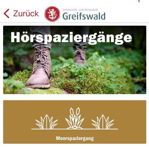 [Translate to EN:] Hörspaziergang zu Moor in Greifswald-App (Bild: Stadt Greifswald)