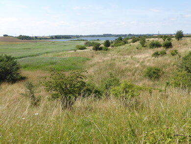 Melow am Strelasund (Foto: J. von Stryk)