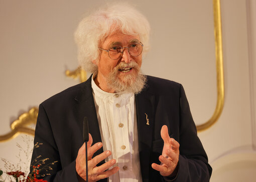 Prof. Dr. Hannes Knapp während seiner Laudatio. © Gerald Jarausch
