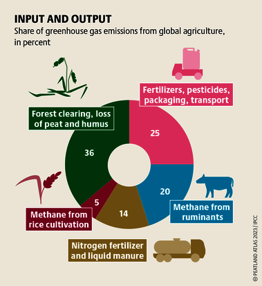 Global drainage of peatlands causes twice as much CO₂ emissions as global air traffic. Source: Peatland atlas Böll/BUND/Succow-Stiftung