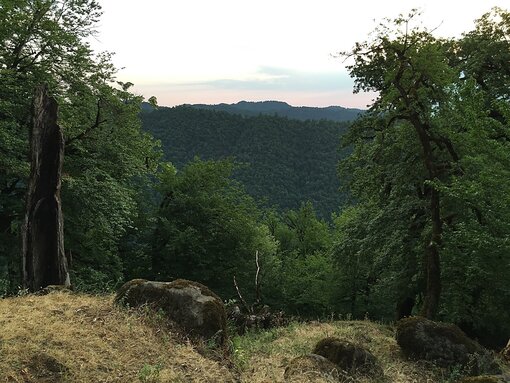 „Hyrcanian Forests" bedecken Bergrücken, Hänge und Täler der Talish Mountains im südlichen Teil des Hirkan-Nationalparks in der Republik Aserbaidschan (Foto von H. D. Knapp, 9. Juli 2019).