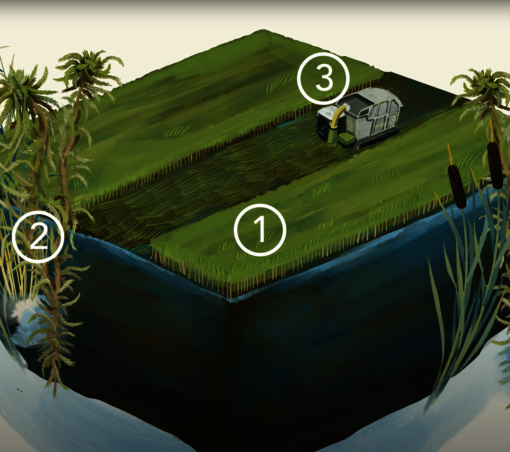 1ha drained peatland an CO2 equivalents per yeaPaludiculture (Illustration/animation: S. Heuzeroth, L. Treise)