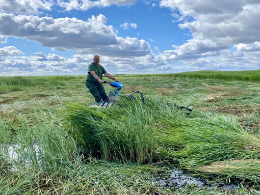 Der Brielmeier im Einsatz im Naturschutzgebiet. (c) S. Kagemann/ Michael Succow Stiftung