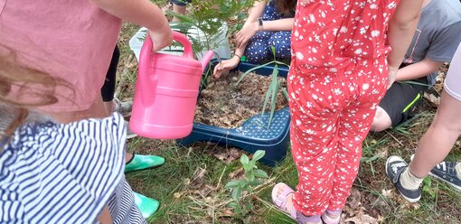 Wir bauen ein Moor © F. Fett / Michael Succow Stiftung