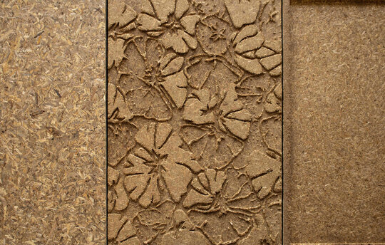 Spanplatten aus Paludikulturpflanzen. ©Alison Darby 