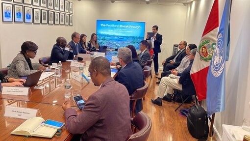 Im Anschluss an die spannenden Präsentationen zum Peatland Breakthrough entwickelten sich lebhafte Rundtischgespräche.