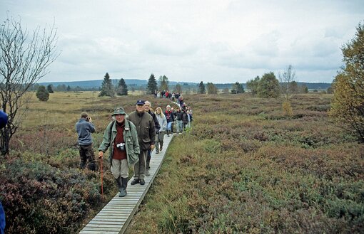 Auf Exkursion im Moor 1997 (Foto: M. Succow)