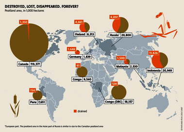 Agriculture destroyed Indonesian peatlands. In recent years, the Indonesian government has committed to restore them in a very comprehensive way. Source: Peatland atlas Böll/BUND/Succow-Stiftung