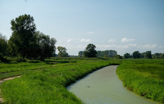 Der Polder Rochow bei Ueckermünde. ©Die Ostseestiftung