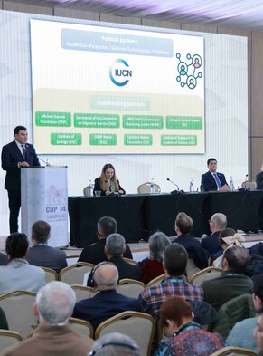 Plenary: (from left to right) H.E. Aziz Abdukhakimov, Minister of Ecology, Environmental Protection and Climate Change of the Republic of Uzbekistan, and Dr Grethel Aguilar, IUCN Director General, H.E.  Bakhodur Sheralizoda, Chairman of Committee for Environmental Protection under the Government of the Republic of Tajikistan, and Dr Bettina Hoffmann, Parliamentary State Secretary, Federal Ministry for the Environment, Nature Conservation, Nuclear Safety and Consumer Protection (BMUV), and Dr Grethel Aguilar, IUCN Director General; Photo credit: Ministry of Ecology, Environmental Protection and Climate Change of Uzbekistan