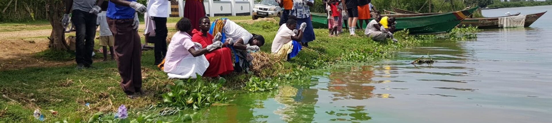 Papyrus Wetlands, Lake Victoria. Photo: Ecofinder, 2026