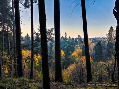 Rominter Heide im Herbst (Photo: Denis Stein)