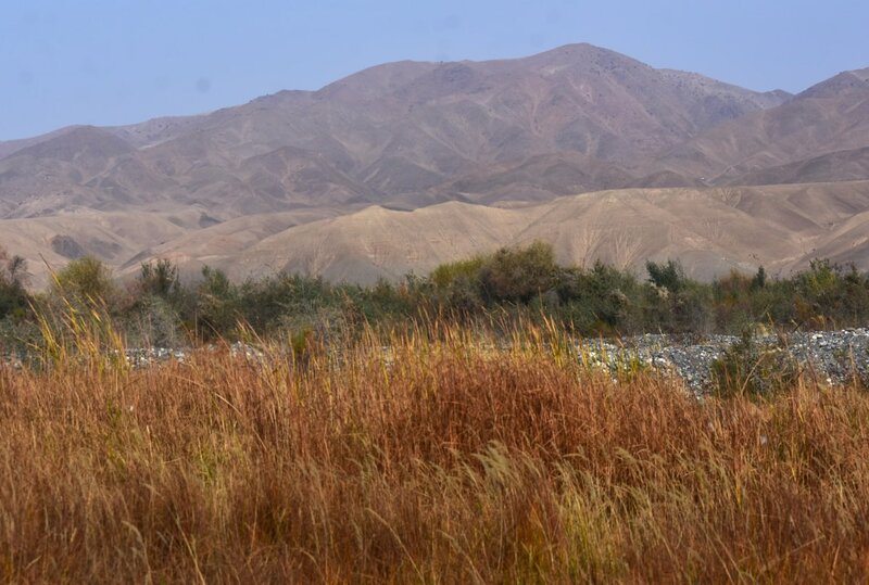 Zarafshan-Tal in Zarafshan-Schutzgebiet in Tadschikistan. Foto: M. Gritsina. Foto: M. Gritsina