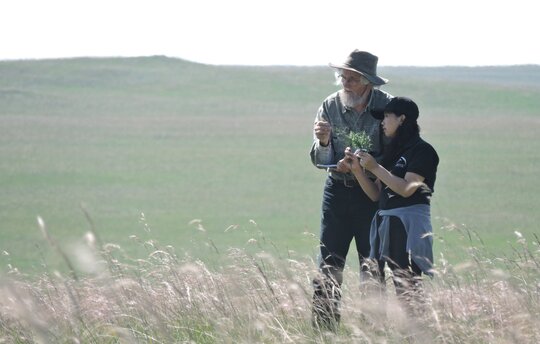 Botanical field studies in Mongolia. Photo: M. Succow