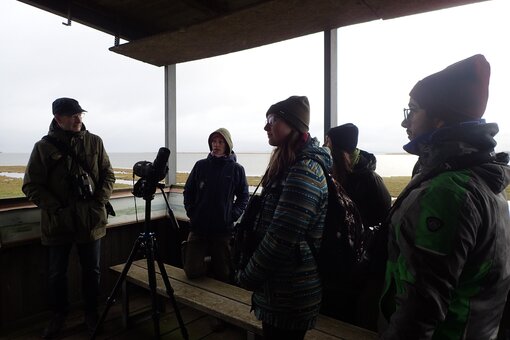 Auf der Beobachtungskanzel im Moor (Foto: Michael Succow Stiftung)