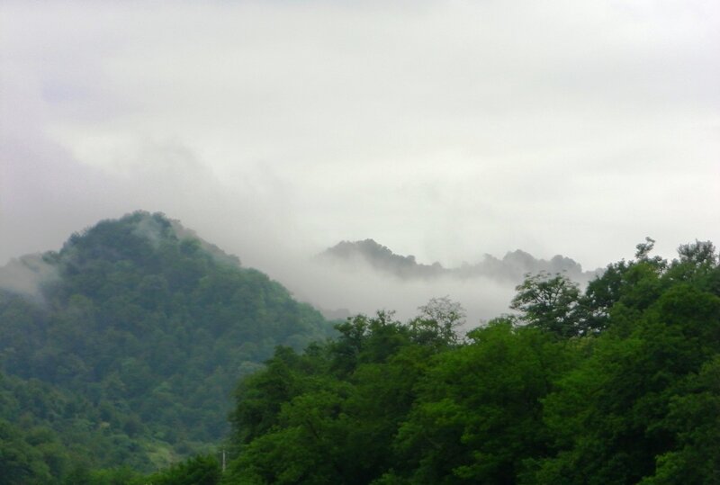 Hirkan National Park, “Şindan”, clouds from Caspian Sea bring high precipitation