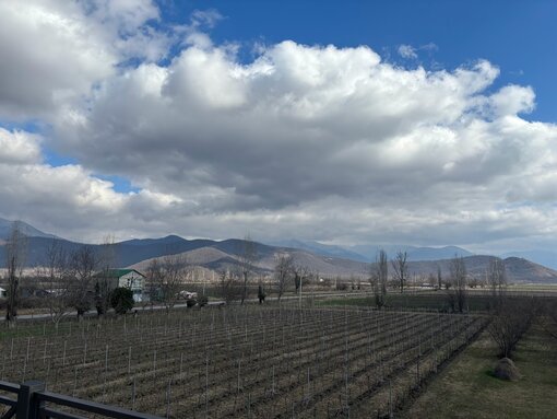 Visit to the winery „Itabani“ (Three Alazani Rivers Biosphere Reserve). (c) Nika Malazonia