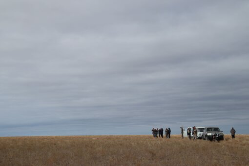 The vastness of the steppe.