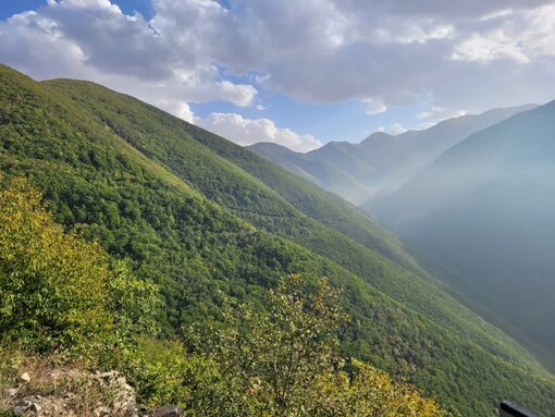 Die tiefen Hyrkanischen Wälder mit ihren Höhenstufen beheimaten eine einmalige und schützenswerte Artenvielfalt. © F. A. Kamali / Michael Succow Foundation