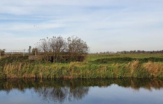 An Maßnahmenfläche angrenzende Fläche nördlich des Landgrabens. ©Tobias Dahms/LGMV