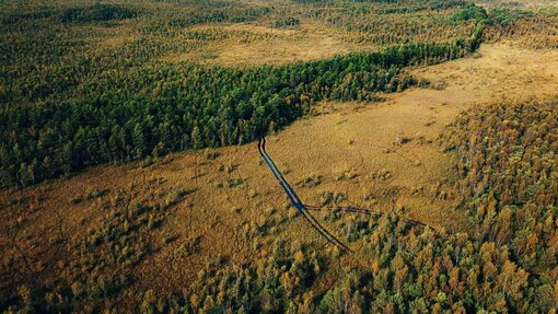 Luftaufnahme aus dem Leidissoo-Moor in Estland (August 2025). Geschlossene Gräben stellen den natürlichen Wasserhaushalt wieder her und sichern das Moor als Kohlenstoffspeicher für Klima und Biodiversität. Foto: skycam