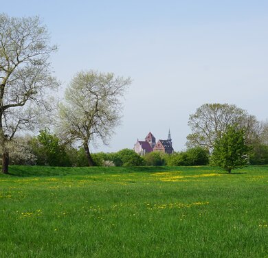 [Translate to EN:] Greifswald - Blick vom Eisenhammer (Foto: C. Lechtape)