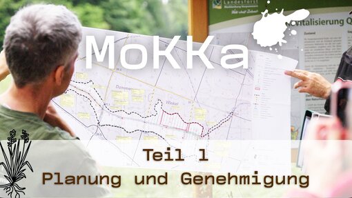 MoKKa-Video Teil 1 ist jetzt online! Mit Einblicken in die Praxis der Moorwiedervernässung. Foto: Michael Succow Stiftung/BioFilm
