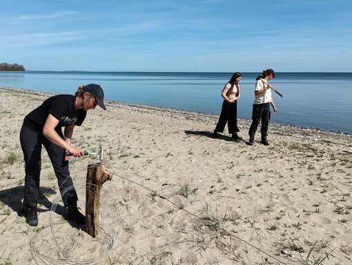 Wir legen "Strandinseln" zum Schutz empfindlicher Arten an. Foto: D. Schacht / Michael Succow Stiftung