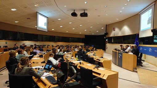 Peatlands on the agenda at Brussels (Photo: S. Hirschelmann)