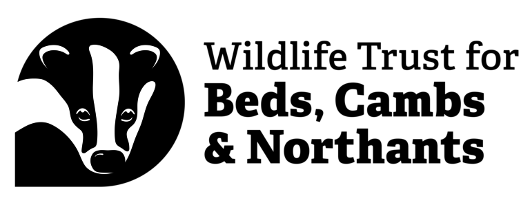 Logo des Wildlife Trust for Beds, Cambs & Northants