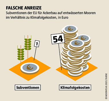 Nach wie vor begünstigt die europäische Agrarpolitik klimaschädliche Landwirtschaft. Dabei wäre Moorschutz auch volkswirtschaftlich ein Gewinn. Quelle: Mooratlas Böll/BUND/Succow-Stiftung