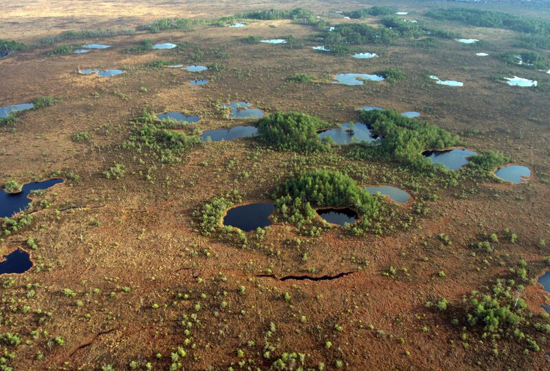 Aukstumala peatland (Photo: M. Sandaras)