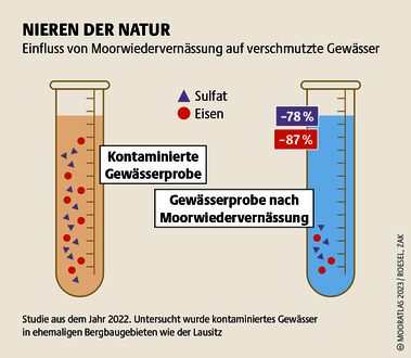 Moore reinigen durch chemische Reaktion: Werden sie mit kontaminiertem Wasser wiedervernässt, entziehen sie ihm Schadstoffe. Quelle: Mooratlas Böll/BUND/Succow-Stiftung