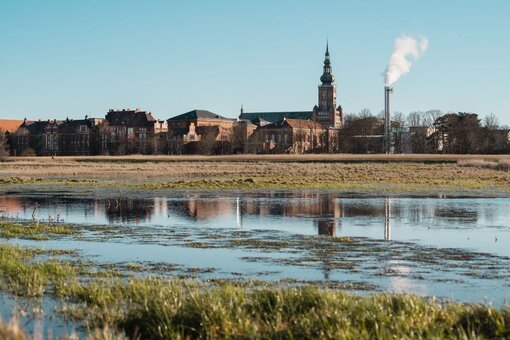 Wiesen bei Greifswald (Foto: S. Busse)