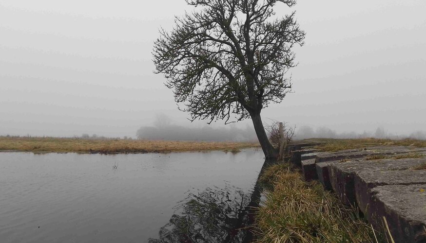 Im morgendlichen Nebel auf der Insel Koos. Foto. J. Kunze / Michael Succow Stiftung