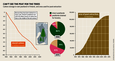 One-quarter of Finland is covered in peat, mainly in forested areas. Some regions of Finland have lost up to 90 percent of their peatland. Source: Peatland atlas Böll/BUND/Succow-Stiftung