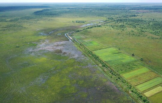 Syra-Pogonya Peatland in the Polesia region, Ukraine. Photo: O. Zubchenko/Michael Succow Foundation