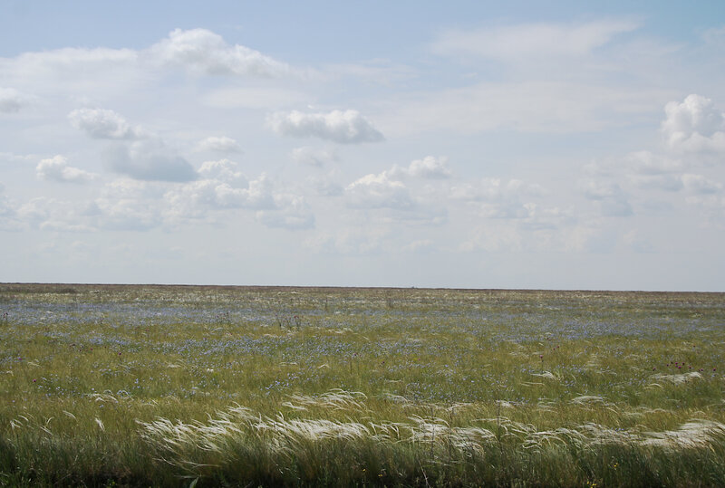 (c) P. Goriup/Agricola (c) P. Goriup/Agricola