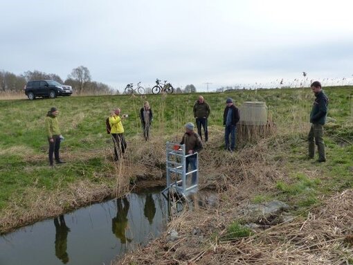 Probestau im Polder Heilgeisthof (Foto: Ch. Lechtape)