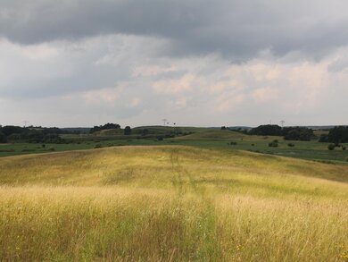 Die Sernitzniederung (Foto: N. Seifert)