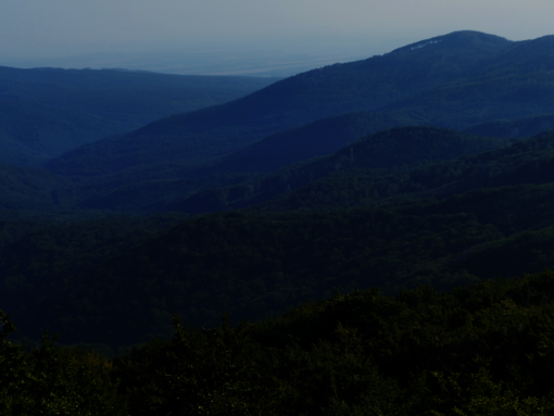 The deep Hyrkanian forests in the north of Iran are home to a biodiversity worth protecting. (Photo: Prof. Dr. Hans-Dieter Knapp)