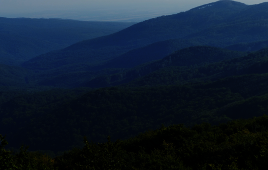 The deep Hyrkanian forests in the north of Iran are home to a biodiversity worth protecting. (Photo: Prof. Dr. Hans-Dieter Knapp)