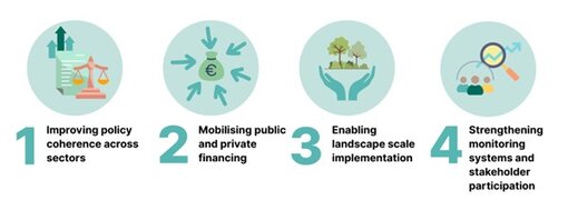 Das White Paper identifiziert vier prioritäre Handlungsfelder für politisches Handeln.
